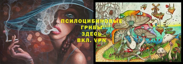 хмурый Алзамай