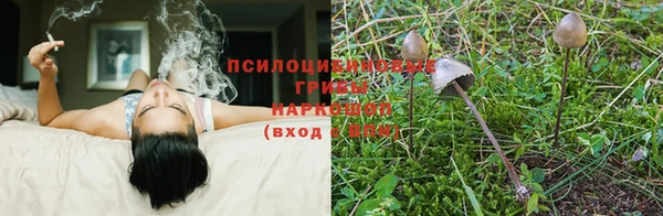а пвп мука Алексин